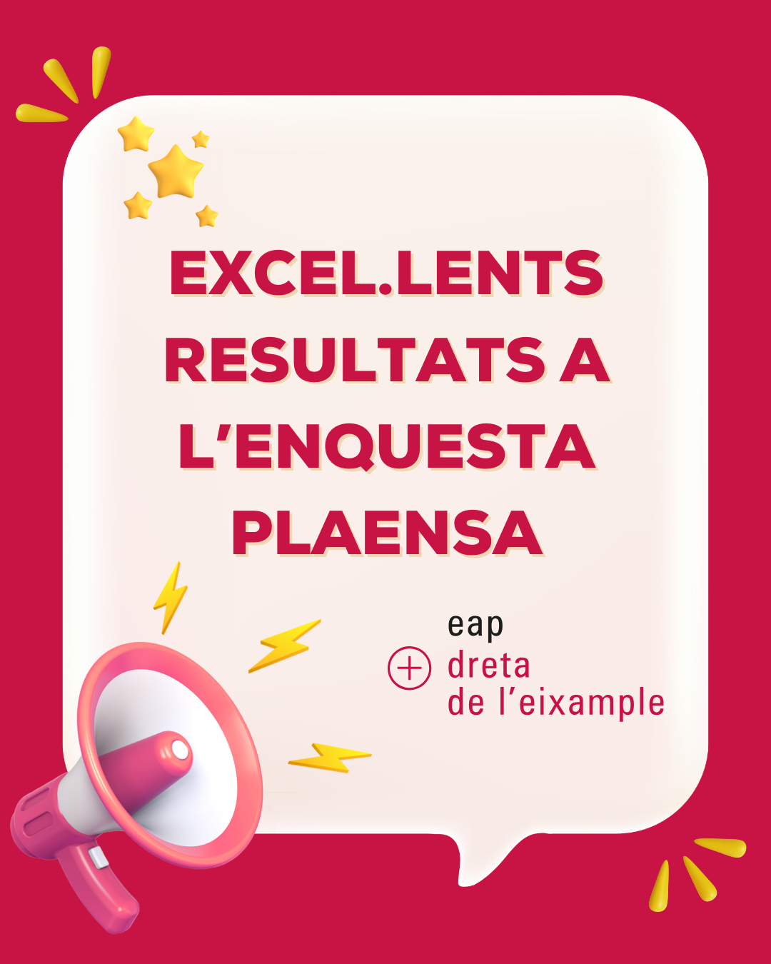 Excel.lents resultats a l'enquesta PLAENSA